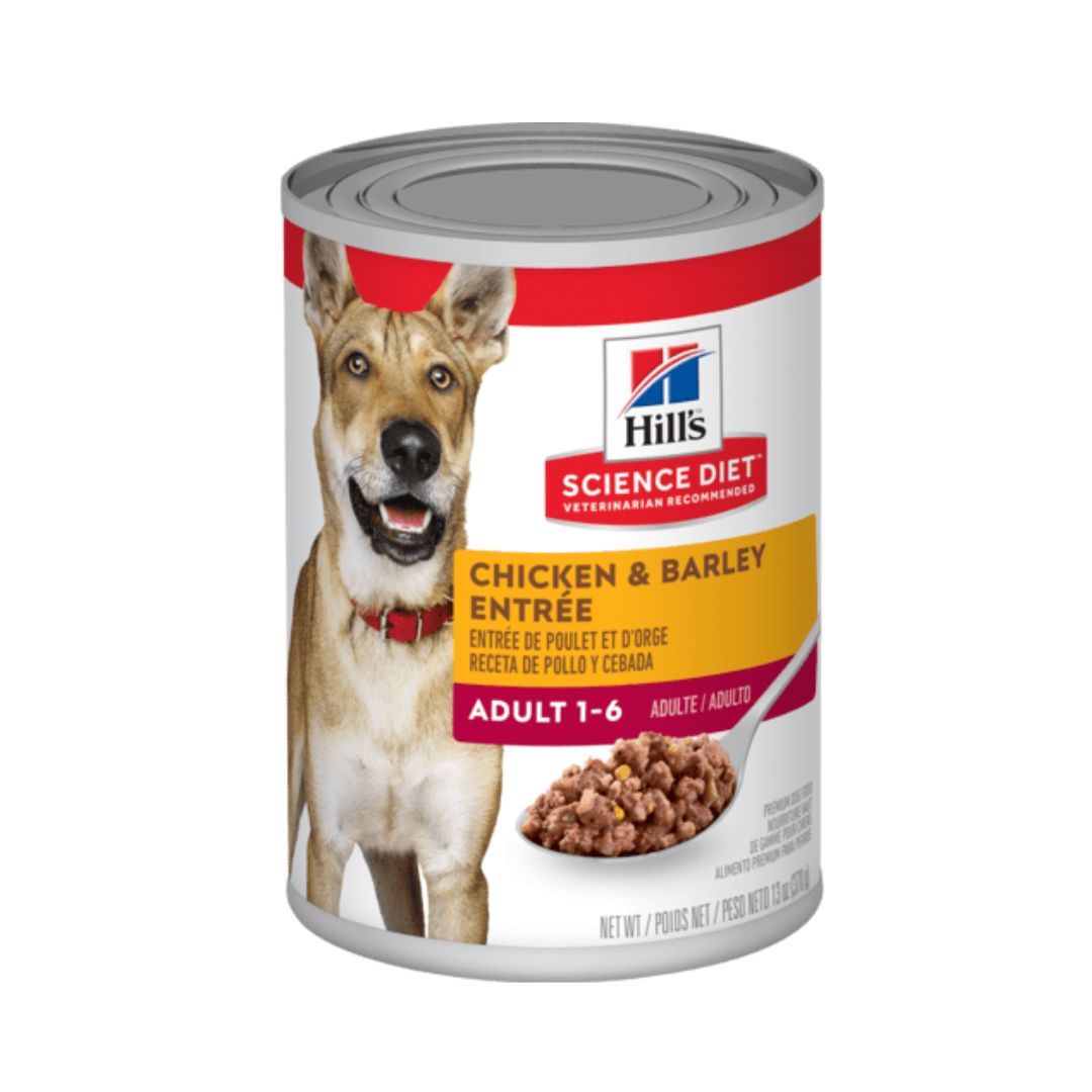 7037 ADULT ORIGINAL 370 GR LATA